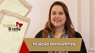 Explica Direito Filiação Socioafetiva  2019 [upl. by Oniotna]