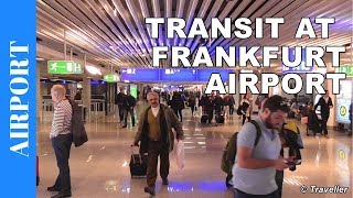 TRANSIT WALK AT FRANKFURT Airport FRA Terminal 1  Connection Flight Transfer Arriving amp Departing [upl. by Eldrida578]